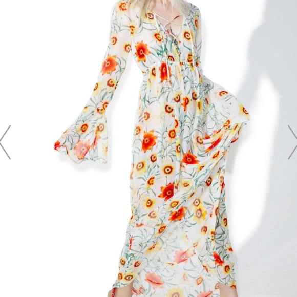 COPY - Wildfox Wild Daisy Maxi Dress - Picture 2 of 8
